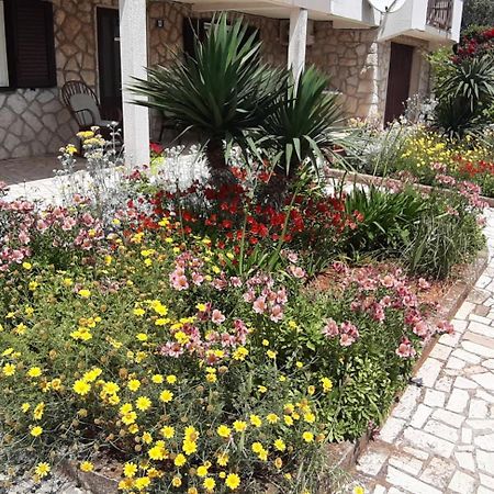 Apartmani Ana كريس المظهر الخارجي الصورة